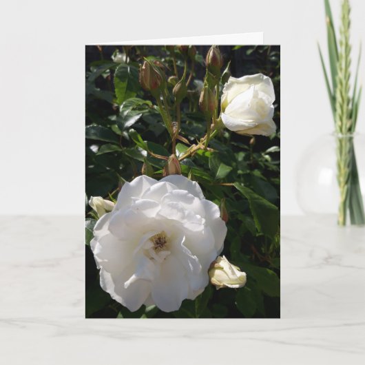 Rozen blokkaart kaart (Voorkant)