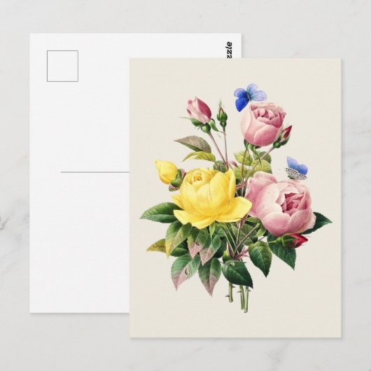  Rozen Botanische Illustratie Briefkaart (Voorkant / Achterkant)