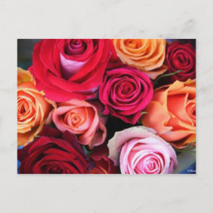 Rozen Bouquet Briefkaart