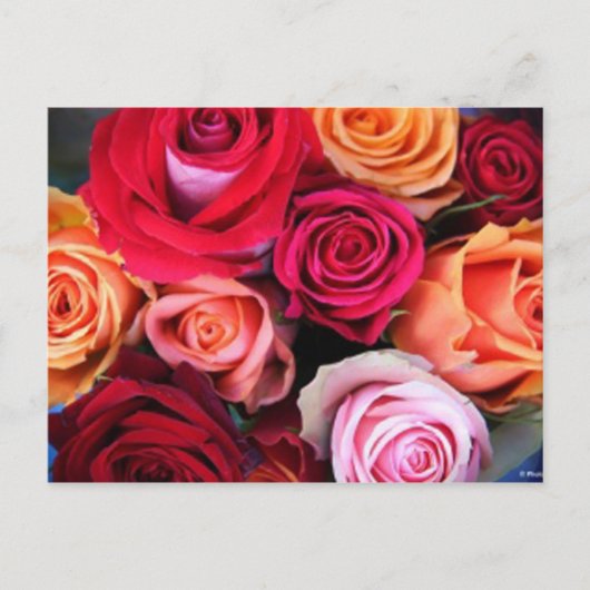 Rozen Bouquet Briefkaart (Voorkant)