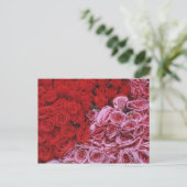 Rozen Briefkaart (Staand voorkant)