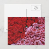 Rozen Briefkaart (Voorkant / Achterkant)