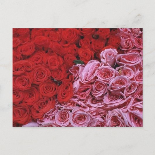 Rozen Briefkaart (Voorkant)