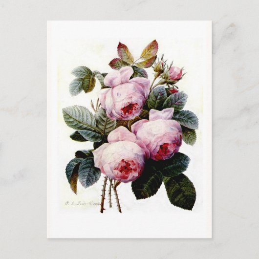 Rozen Briefkaart (Voorkant)