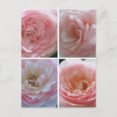  Rozen Briefkaart (Voorkant)