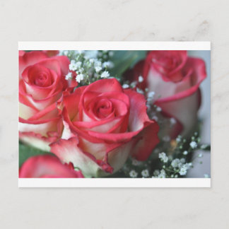 rozen briefkaart