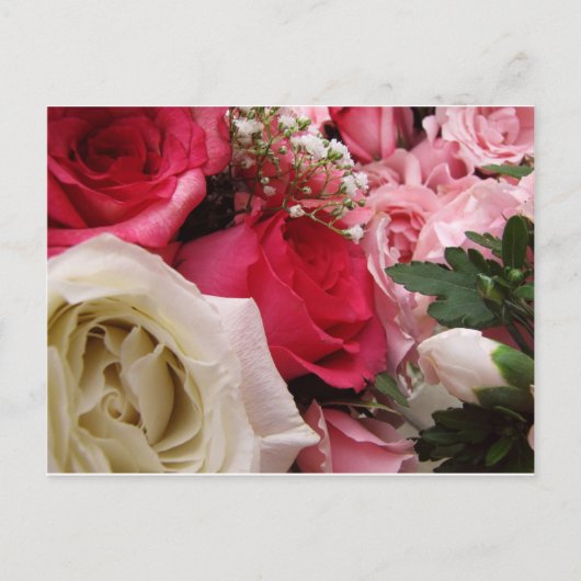 rozen briefkaart (Voorkant)