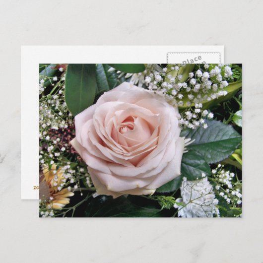 ROZEN BRIEFKAART (Voorkant / Achterkant)