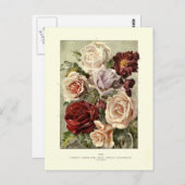 Rozen Briefkaart (Voorkant / Achterkant)