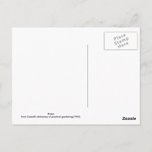 Rozen Briefkaart (Achterkant)