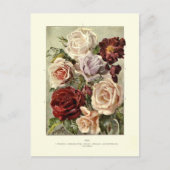 Rozen Briefkaart (Voorkant)