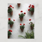 Rozen Briefkaart (Voorkant)