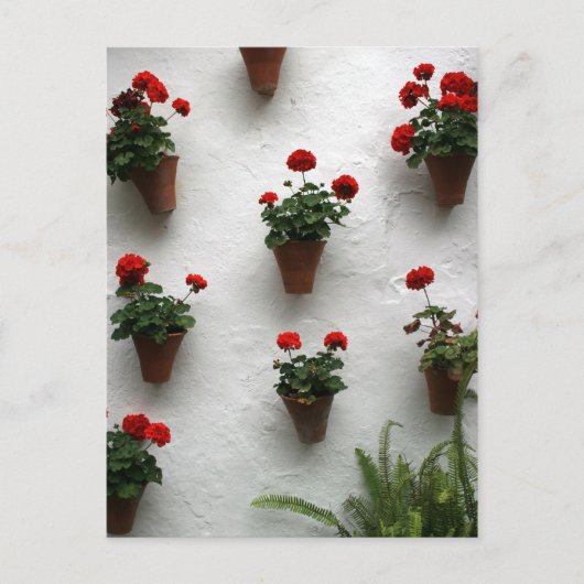 Rozen Briefkaart (Voorkant)