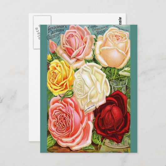 Rozen Briefkaart (Voorkant / Achterkant)