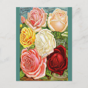  Rozen Briefkaart
