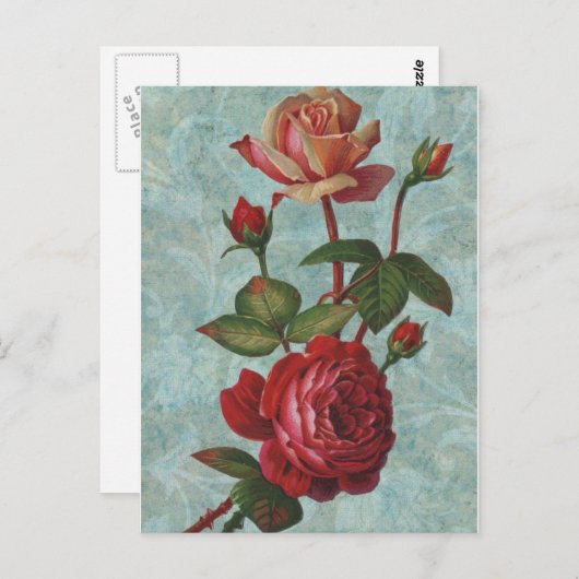 Rozen Briefkaart (Voorkant / Achterkant)