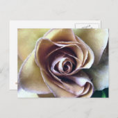 ROZEN BRIEFKAART (Voorkant / Achterkant)