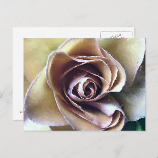 ROZEN BRIEFKAART (Voorkant / Achterkant)