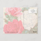 Rozen Briefkaart (Achterkant)