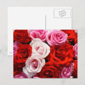 Rozen Briefkaart (Voorkant / Achterkant)