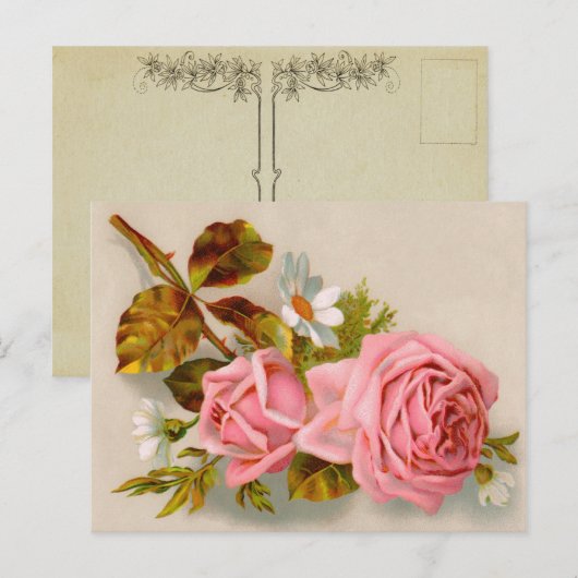 Rozen  Briefkaart (Voorkant / Achterkant)