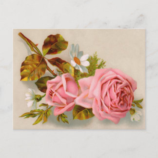 Rozen  Briefkaart