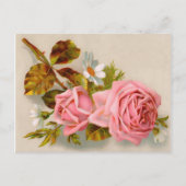 Rozen  Briefkaart (Voorkant)