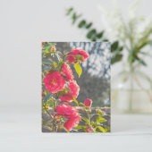 Rozen briefkaart (Staand voorkant)