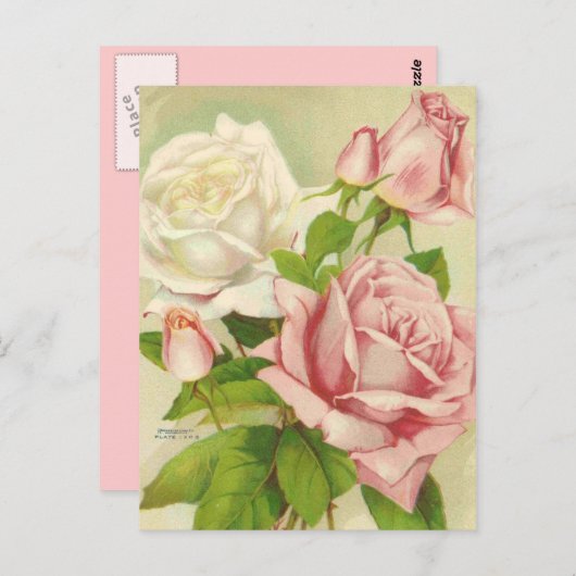  Rozen Briefkaarten (Voorkant / Achterkant)