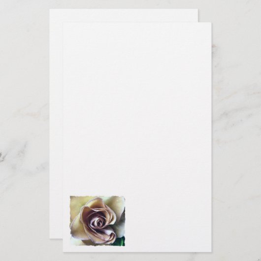 ROZEN BRIEFPAPIER (Voorkant / Achterkant)