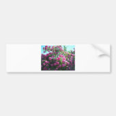 Rozen Bumpersticker (Voorkant)