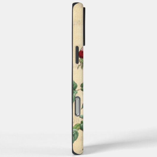Rozen Case-Mate iPhone Case (Achterkant / Rechts)