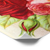 Rozen Dingee and Conard Company Seed Catalog Poster (Hoek)