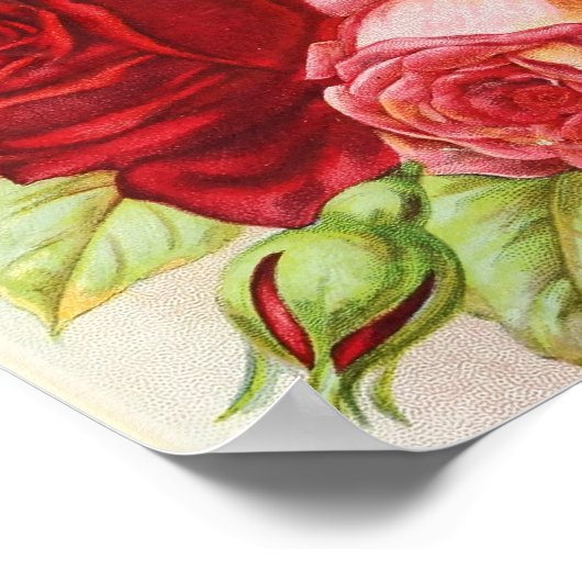 Rozen Dingee and Conard Company Seed Catalog Poster (Hoek)