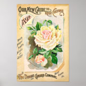 Rozen Dingee en Conard zaadcatalogus Poster (Voorkant)