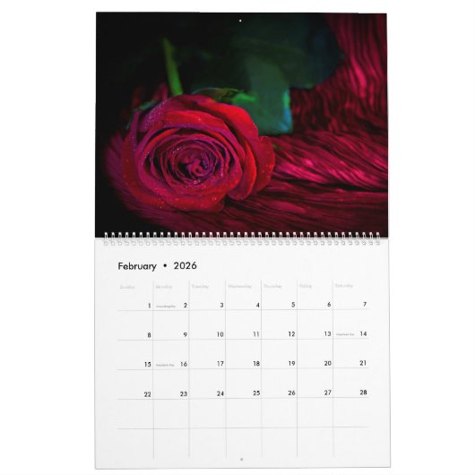 Rozen door de jaarlijkse fotokalender kalender (Feb 2026)