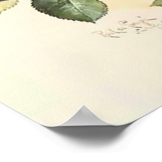 Rozen en bijen Paul de Longpre Fine Art Poster (Hoek)