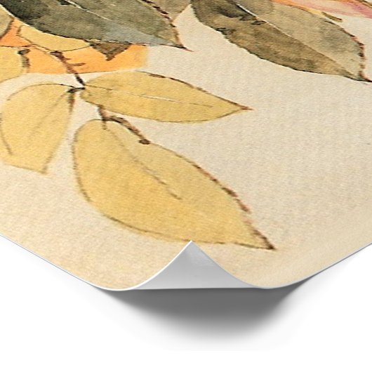 Rozen en bleekbijen Poster (Hoek)