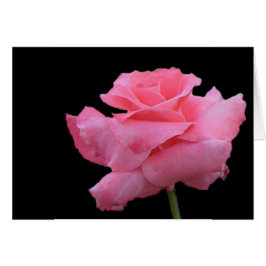 Rozen- en chocoladekaart