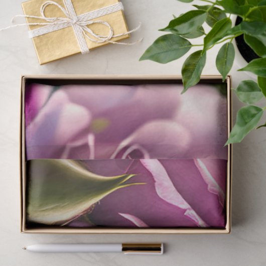 Rozen en Collectie van de bloedstolling Tissuepapier (Geschenk)