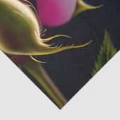 Rozen en Collectie van de bloedstolling Tissuepapier (Detail)