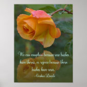 Rozen en Inspirerend Poster (Voorkant)