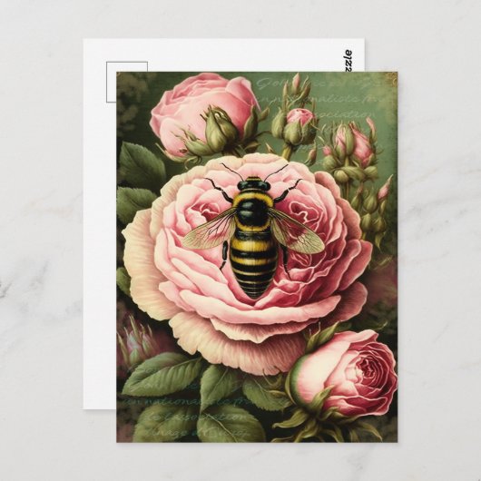 Rozen en koningin Briefkaart (Voorkant / Achterkant)