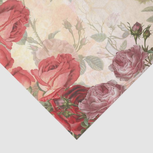 Rozen en ontkoppeling van koningin Tissuepapier (Detail)