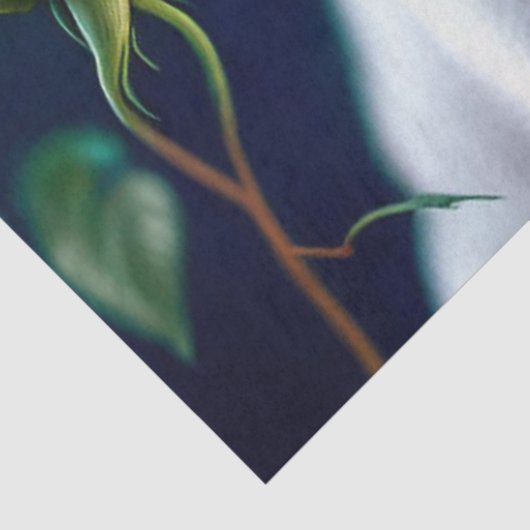 Rozen en prachtig Collectie Tissuepapier (Detail)