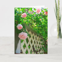 Rozen en roosters - wijngaard van Martha