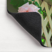 Rozen en roosters - wijngaard van Martha Muismat (Hoek)