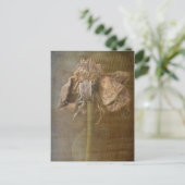 Rozen en Rust nr. 3 Briefkaart (Staand voorkant)