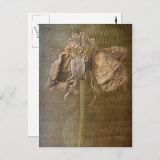 Rozen en Rust nr. 3 Briefkaart (Voorkant / Achterkant)