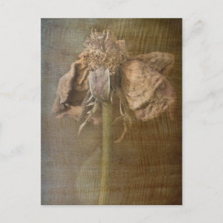 Rozen en Rust nr. 3 Briefkaart